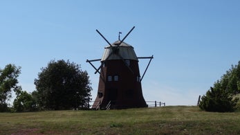 dsc09564jpg.jpg