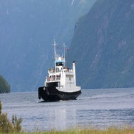2v8a6737jpg.jpg