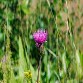 20230710-2v8a7594jpg.jpg