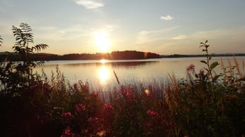dsc08463jpg.jpg