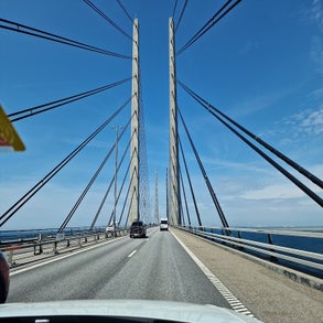 20230715_115004.jpg