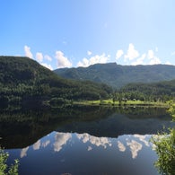 2v8a7120jpg.jpg
