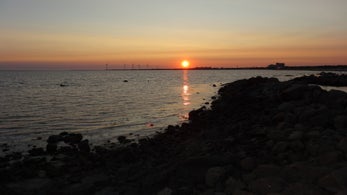 dsc06795jpg.jpg