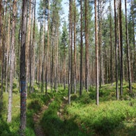 2v8a7659jpg.jpg