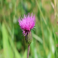2v8a7589jpg.jpg