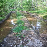2v8a7665jpg.jpg
