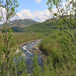 2v8a4235jpg.jpg
