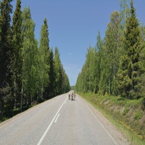 2v8a3859jpg.jpg
