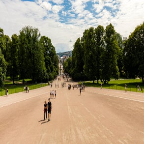 20230708-2v8a7345jpg.jpg