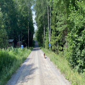 2jpg-4.jpg