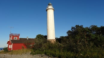 dsc09226jpg.jpg