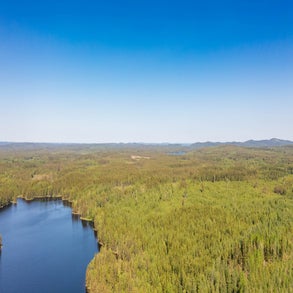 20230614-dji_0834jpg.jpg