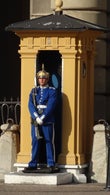 dsc08581jpg.jpg