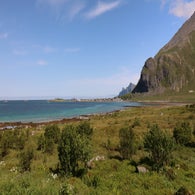 2v8a4624jpg.jpg
