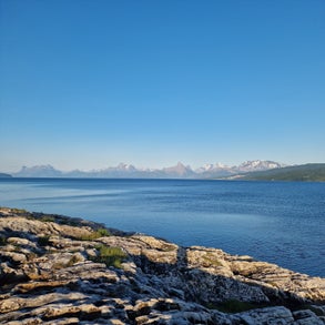 20230627_211537.jpg