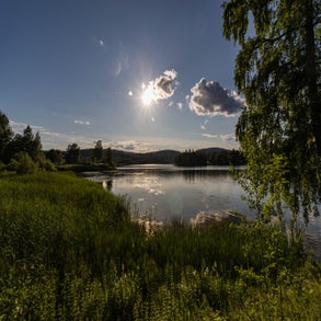 20230708-2v8a7371jpg.jpg