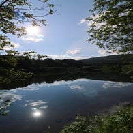 2v8a6072jpg.jpg