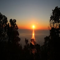 img_9131jpg.jpg