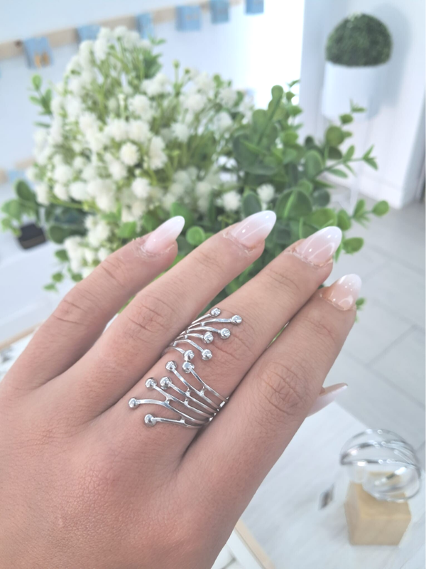 Anillo Cartagena