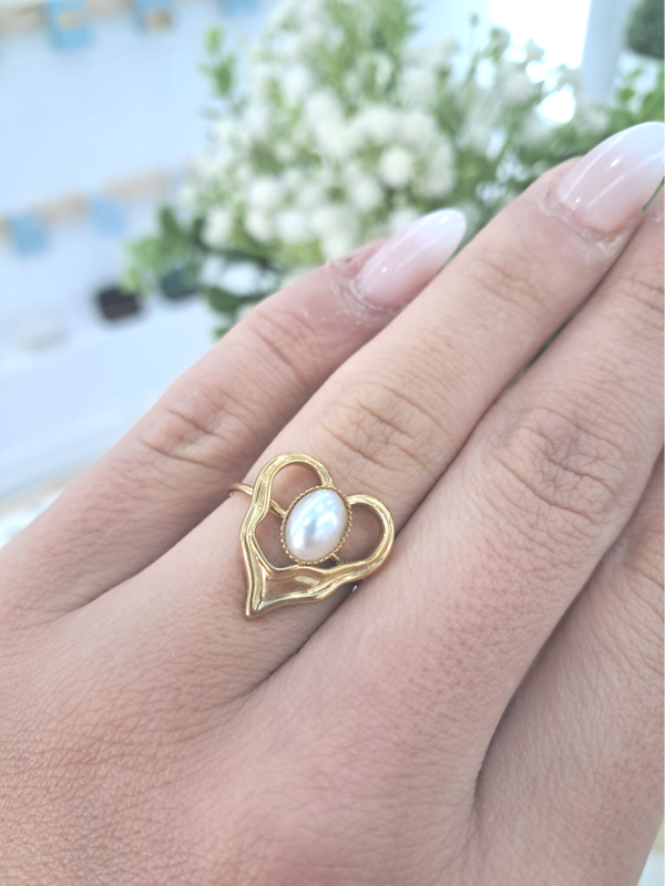 Anillo Pamplona