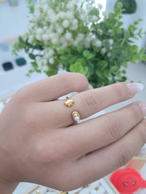 Anillo Ponferrada