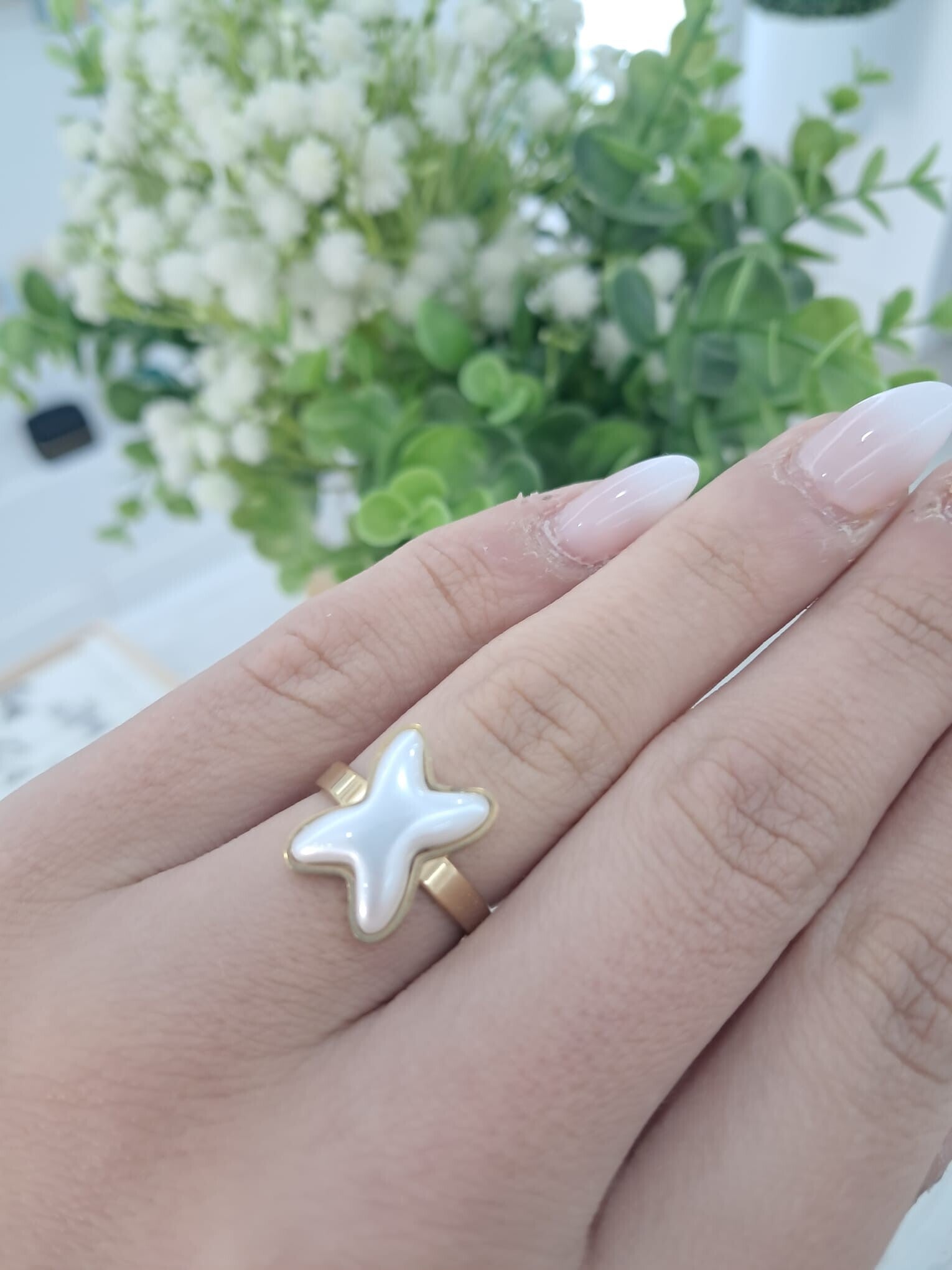 Anillo Palencia