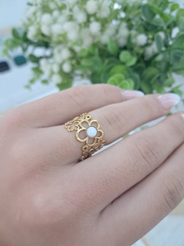 Anillo Jaca