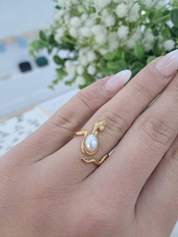 Anillo Segovia