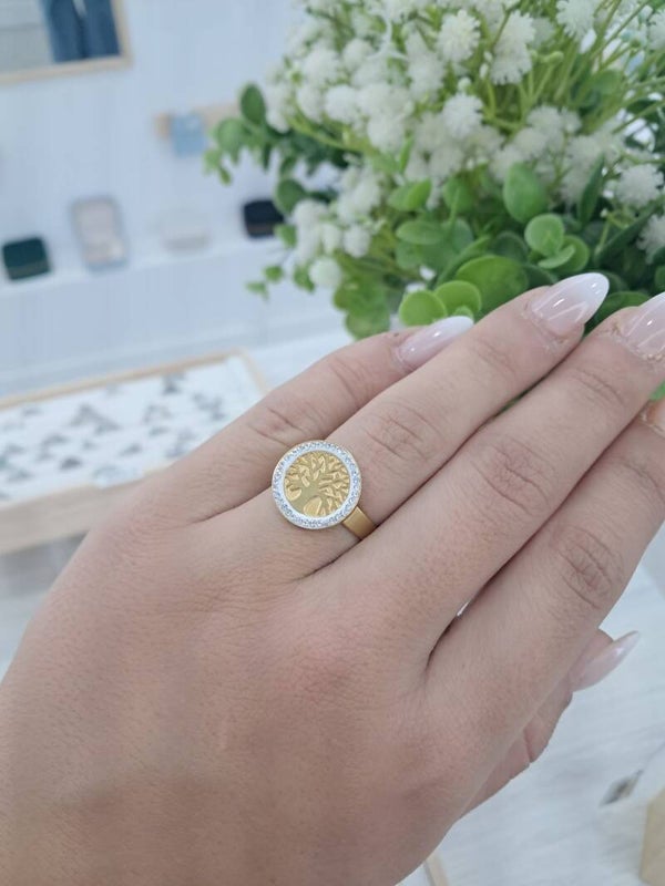 Anillo Llanes