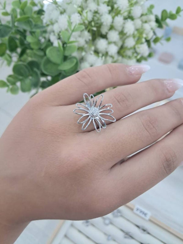 Anillo Logroño