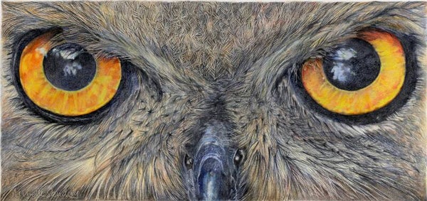 Eagle Eyes - Limited Edition Print