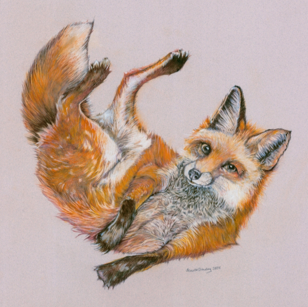 Absolutely Foxed