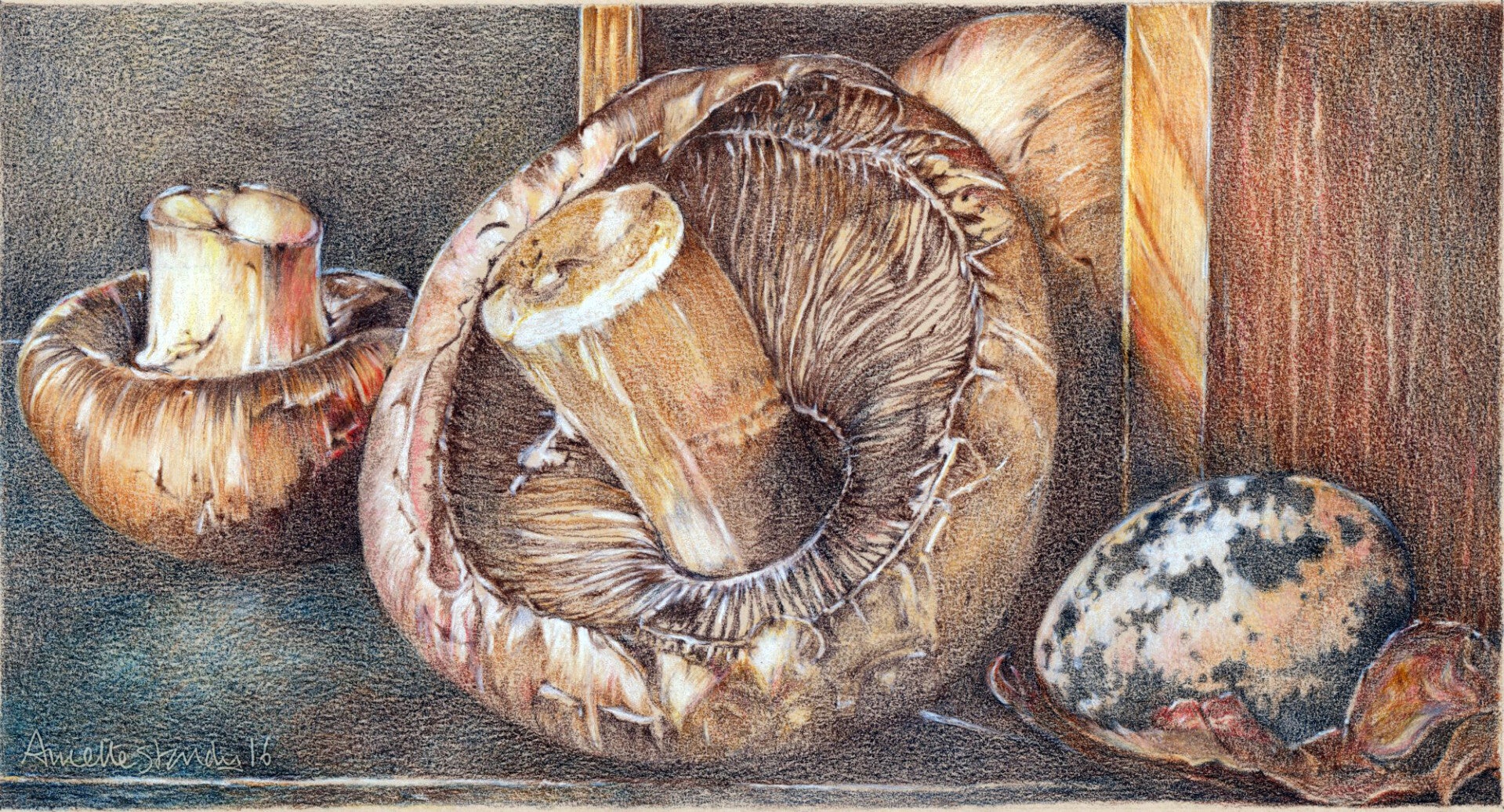 Still Life with Mushrooms