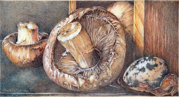 Still Life with Mushrooms Original Drawing