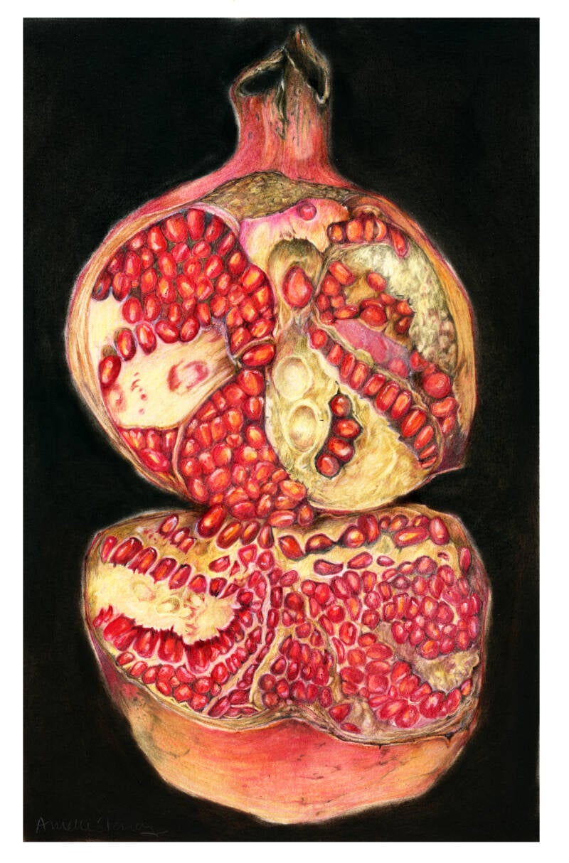 pomegranite-2-standard.jpg