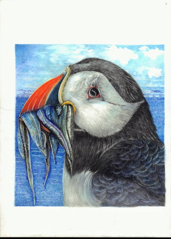 Puffin Billy - Limited Edition Print