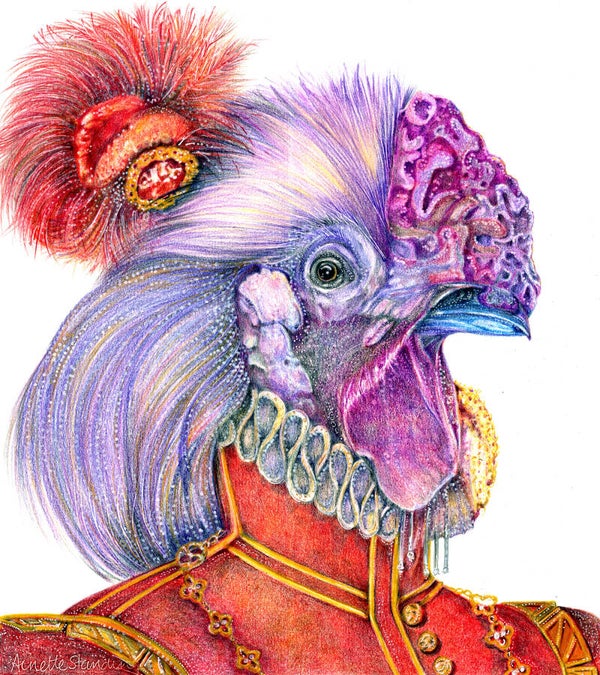 Sir Robert Dudley