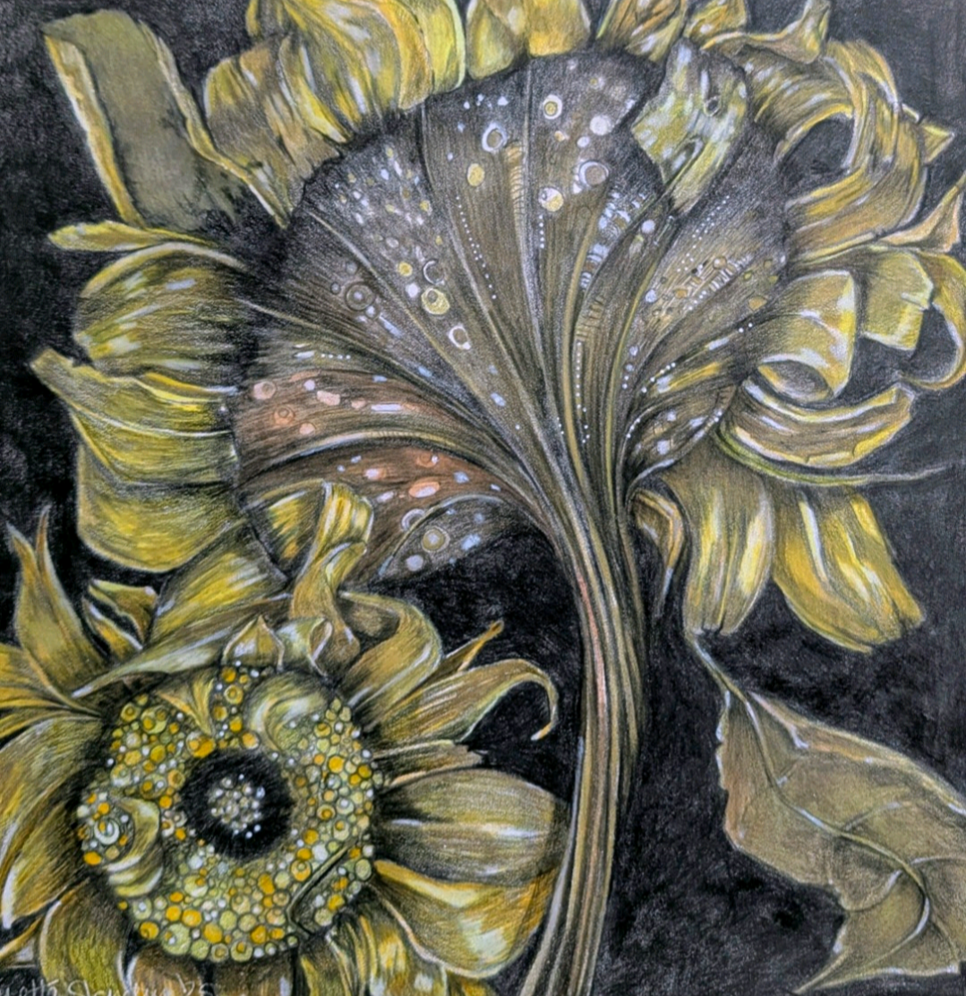 Dark Sunflowers