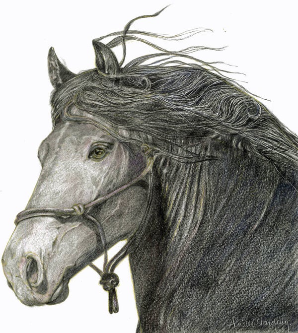 Spirit - Limited Edition Print