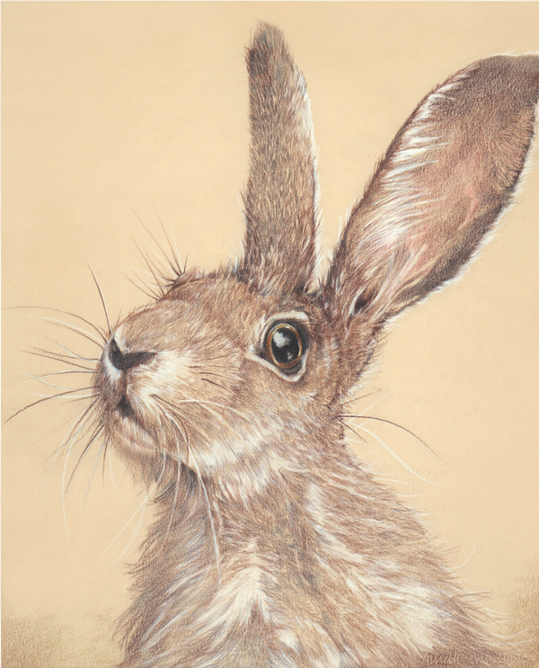 What's Up?  - Limited Edition Print