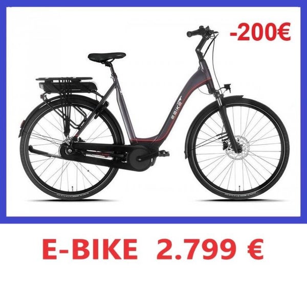 EBIKE COMFORT