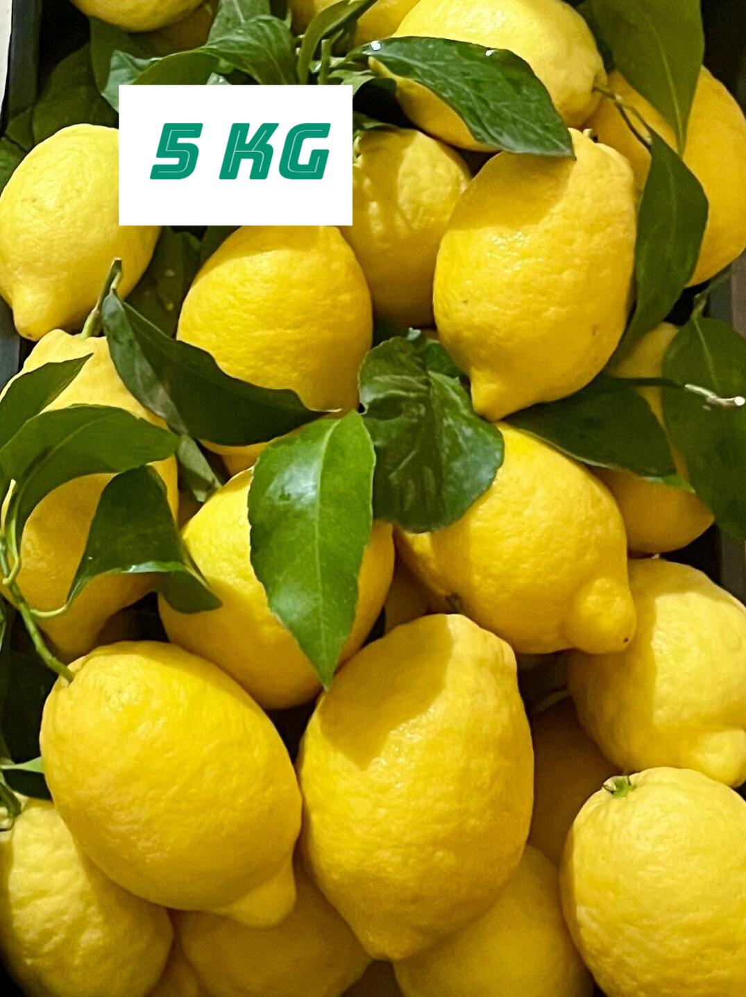 Box 5 Kg Limoni