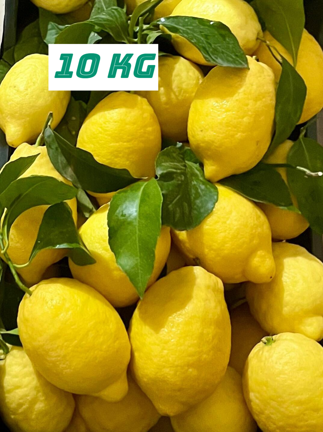 Box 10kg Limoni, Buccia Edibile