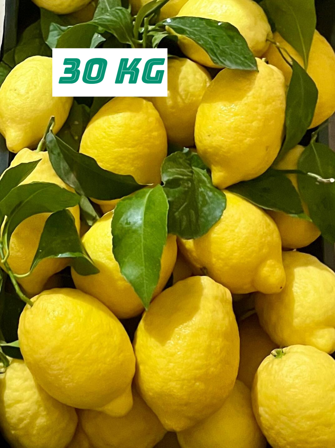 Box 30kg Limoni, Buccia Edibile