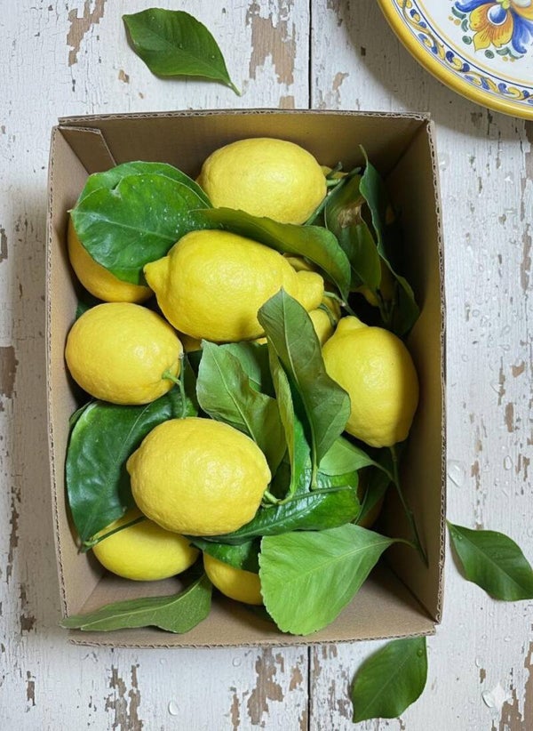 Limoni I.G.P. Produzione propria, Buccia Edibile, Calibro Piccolo
