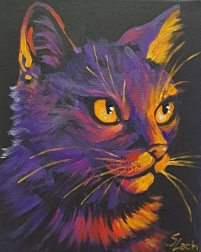 Portret kotka (25x30cm) - 200 PLN