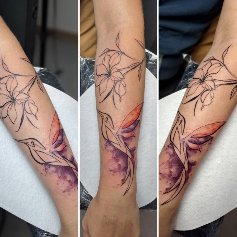 Kolor / Linework