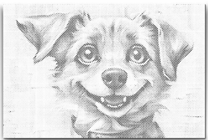 Dolly Dotz - Cheerful Dog