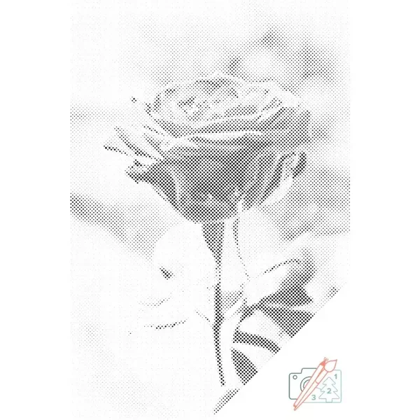 Dolly Dotz - De Roos