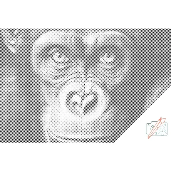 Dolly Dotz - Chimpansee